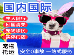 张孝航空快运国际宠物托运 【国